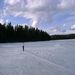 Frozen Lake Lillian #4