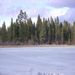 Frozen Lake Lillian #6