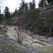 Creek alongside the Fairmont Hot Springs Trail